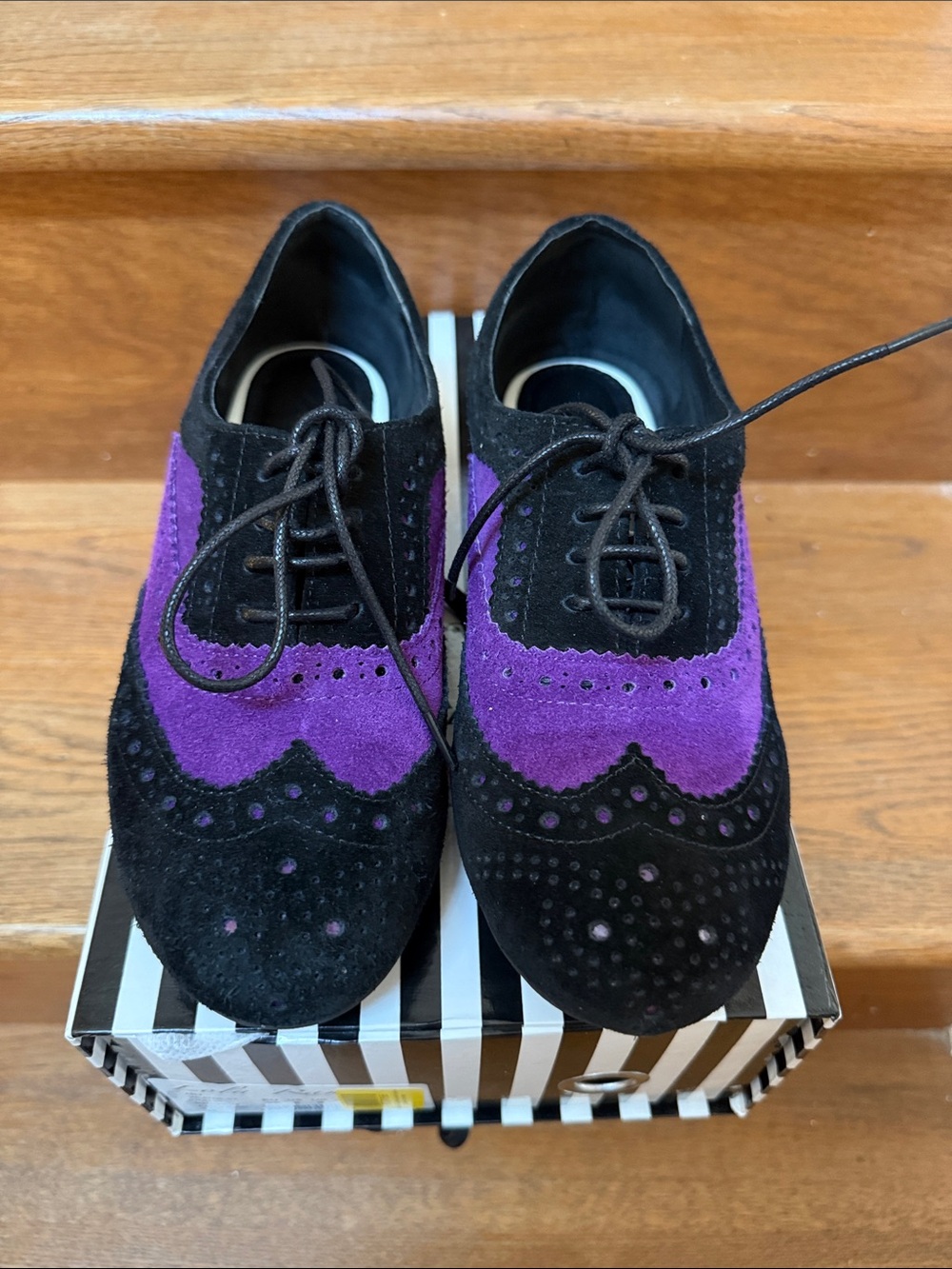 Size 6/EU 36 Lola Ramona Penny Aster in Black & Purple